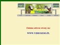 Videozoo